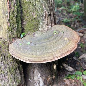 Meet your Posher, Timea